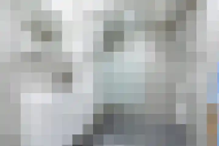 H. Kamerlingh Onnesweg 51 A Bussum thumbnail 16