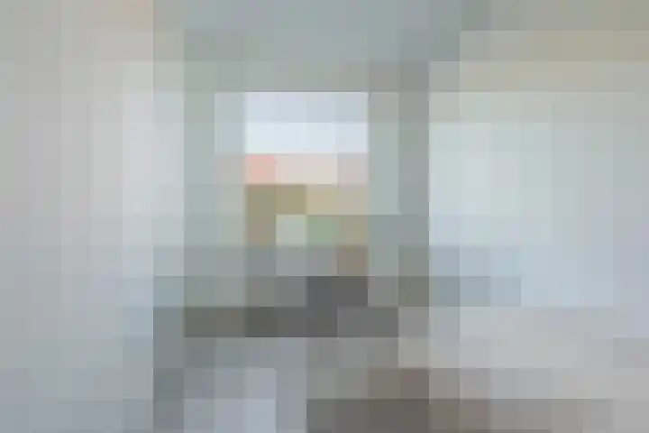 H. Kamerlingh Onnesweg 51 A Bussum thumbnail 19