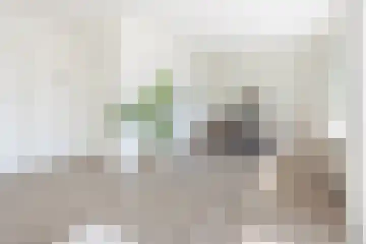 H. Kamerlingh Onnesweg 51 A Bussum thumbnail 8