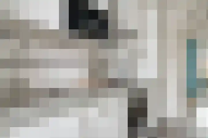 H. Kamerlingh Onnesweg 53 A Bussum thumbnail 17