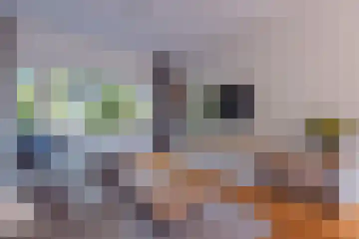 H. Kamerlingh Onnesweg 58 Bussum thumbnail 11