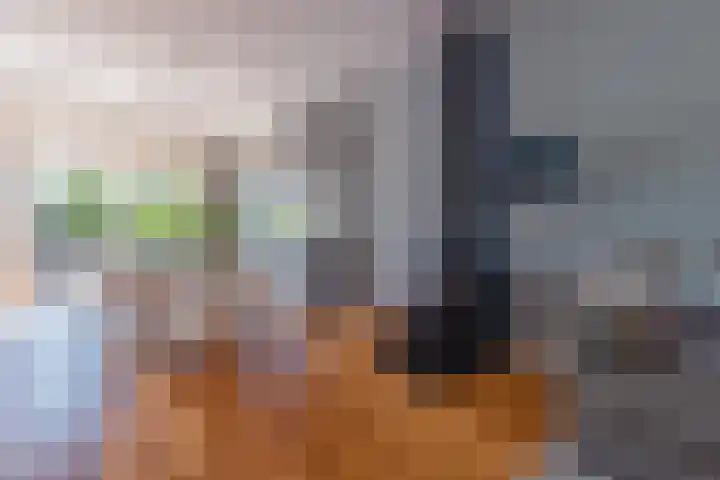 H. Kamerlingh Onnesweg 58 Bussum thumbnail 12