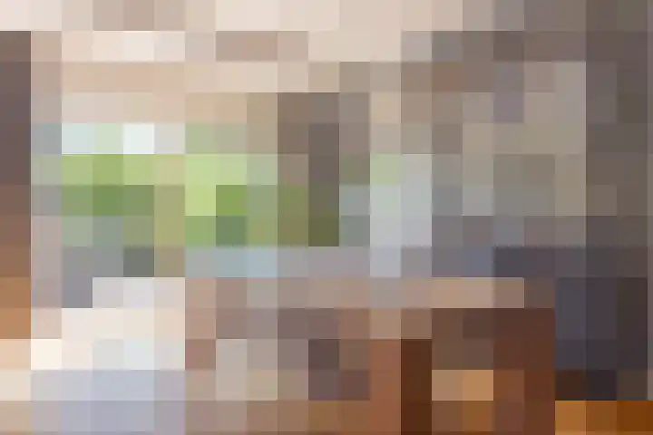 H. Kamerlingh Onnesweg 58 Bussum thumbnail 14