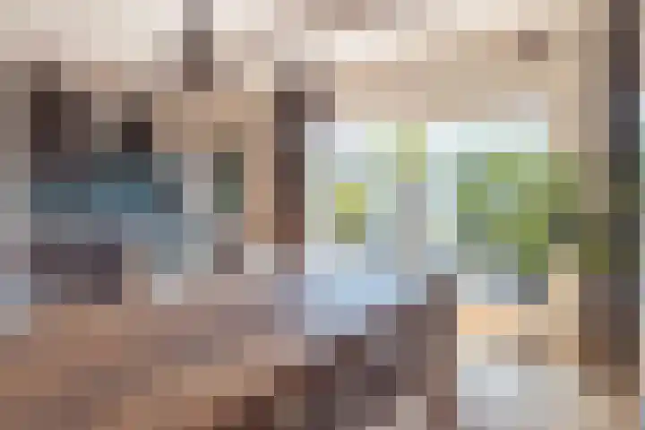 H. Kamerlingh Onnesweg 58 Bussum thumbnail 15