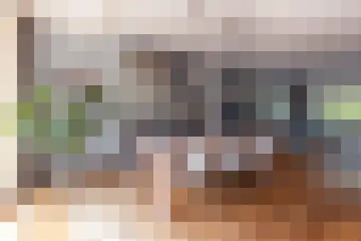 H. Kamerlingh Onnesweg 58 Bussum thumbnail 16