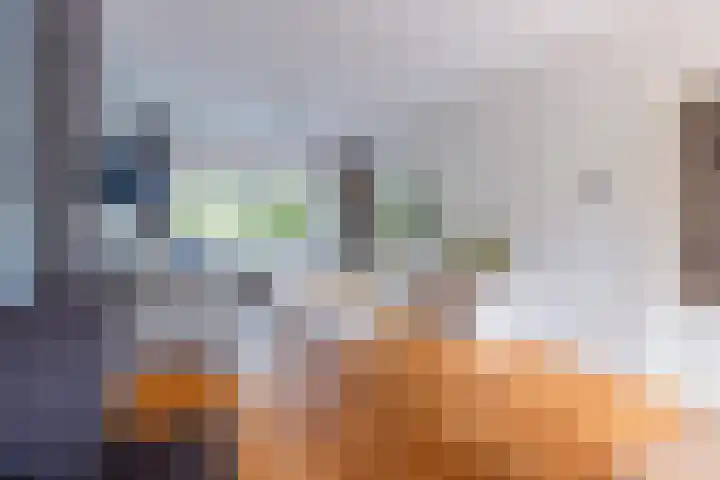 H. Kamerlingh Onnesweg 58 Bussum thumbnail 17