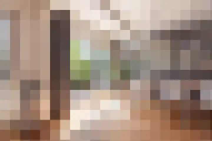 H. Kamerlingh Onnesweg 58 Bussum thumbnail 18