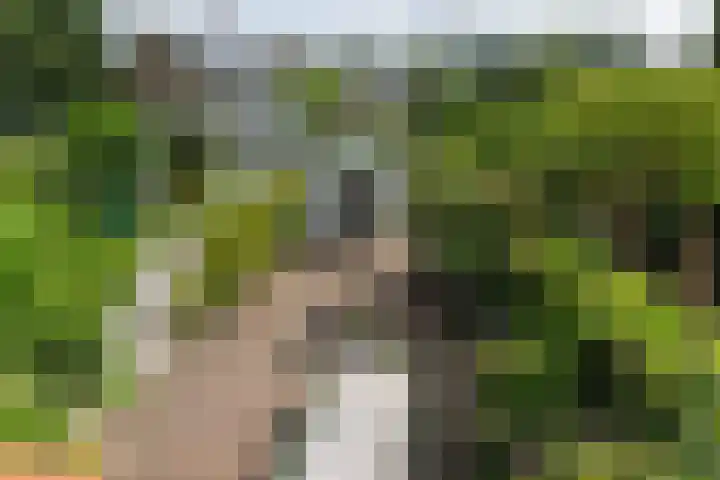 H. Kamerlingh Onnesweg 58 Bussum thumbnail 29