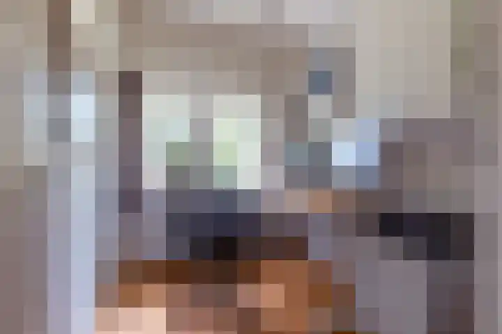 H. Kamerlingh Onnesweg 58 Bussum thumbnail 30