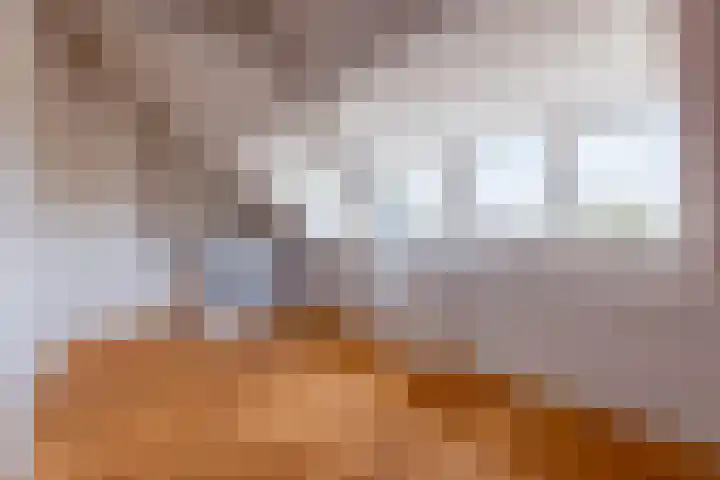 H. Kamerlingh Onnesweg 58 Bussum thumbnail 33