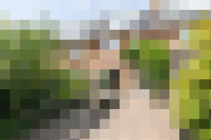 H. Kamerlingh Onnesweg 58 Bussum thumbnail 36