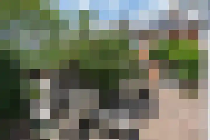 H. Kamerlingh Onnesweg 58 Bussum thumbnail 37