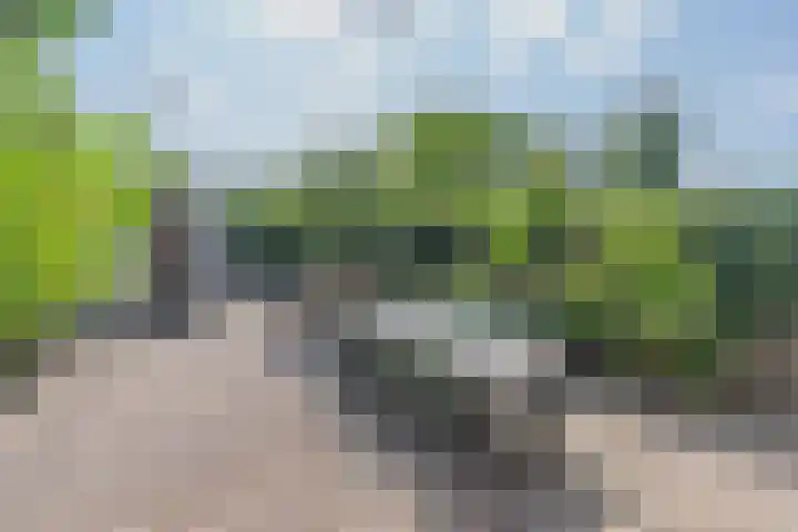 H. Kamerlingh Onnesweg 58 Bussum thumbnail 38
