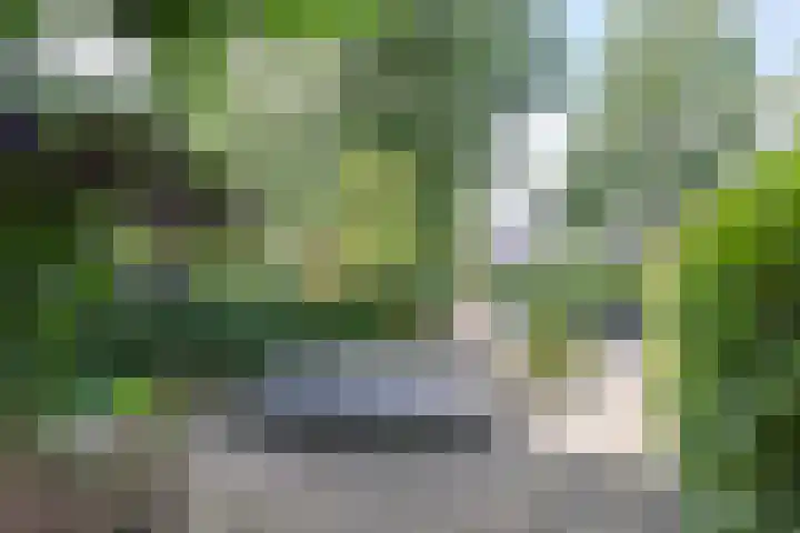 H. Kamerlingh Onnesweg 58 Bussum thumbnail 41