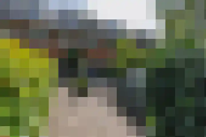 H. Kamerlingh Onnesweg 58 Bussum thumbnail 42