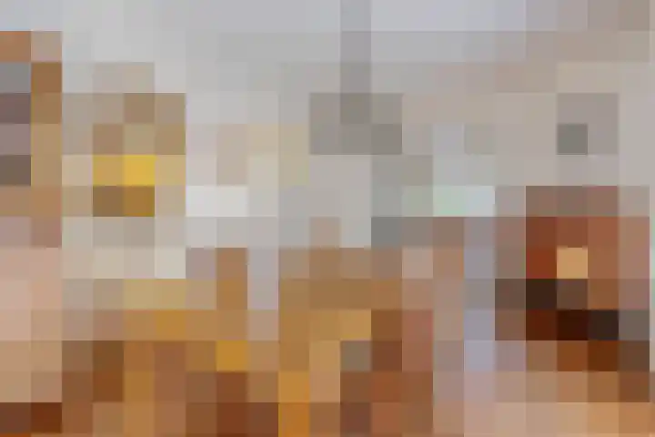 H. Kamerlingh Onnesweg 64 Bussum thumbnail 14