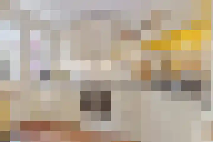 H. Kamerlingh Onnesweg 64 Bussum thumbnail 16