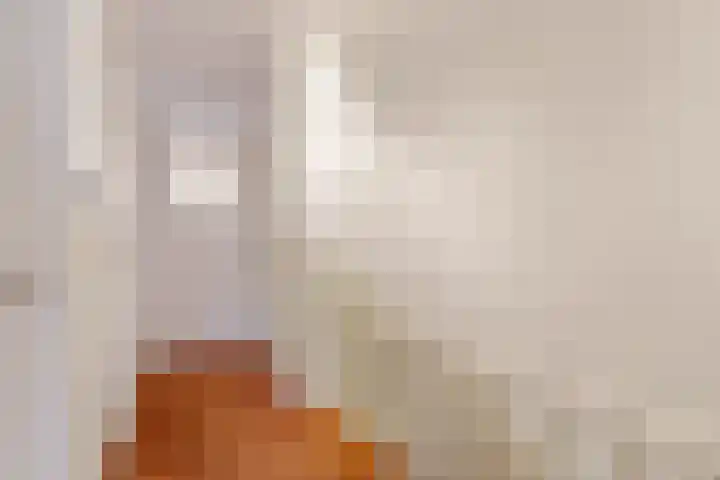 H. Kamerlingh Onnesweg 64 Bussum thumbnail 28