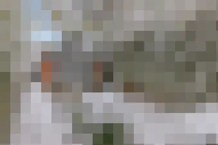 H. Kamerlingh Onnesweg 64 Bussum thumbnail 31