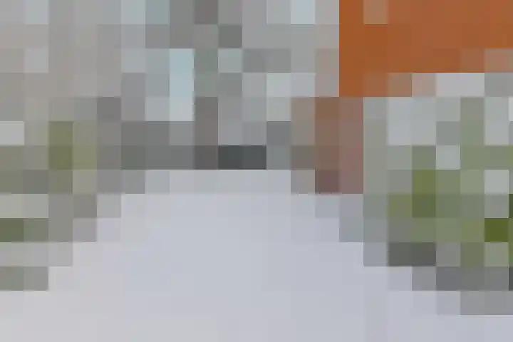 H. Kamerlingh Onnesweg 64 Bussum thumbnail 32
