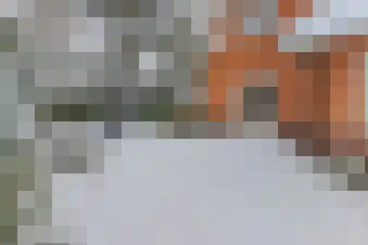 H. Kamerlingh Onnesweg 64 Bussum thumbnail 33
