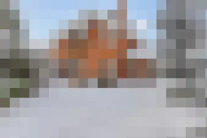 H. Kamerlingh Onnesweg 64 Bussum thumbnail 36