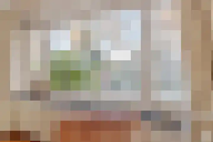 H. Kamerlingh Onnesweg 64 Bussum thumbnail 7