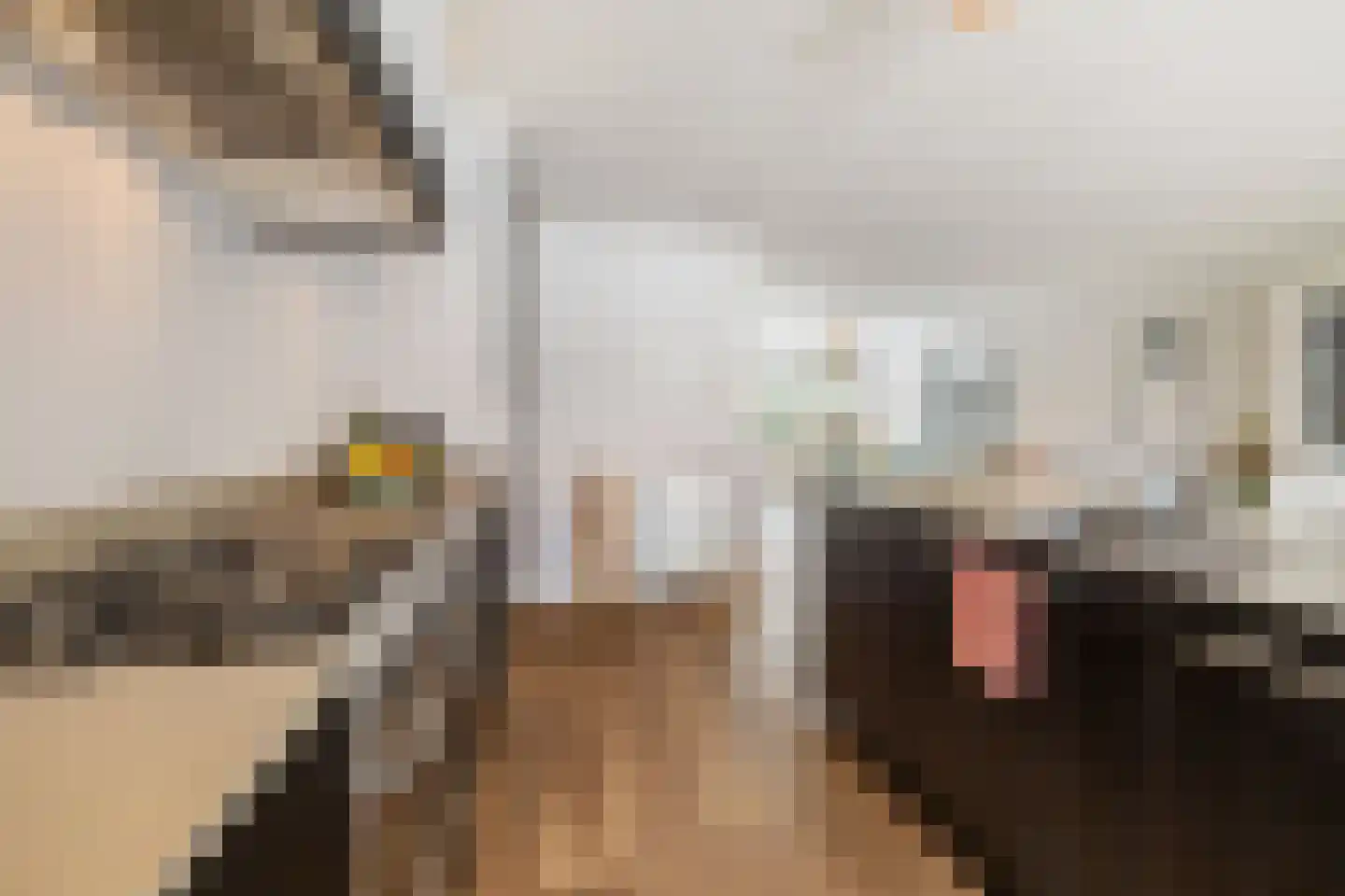 H. Kamerlingh Onnesweg 69 Bussum thumbnail 11
