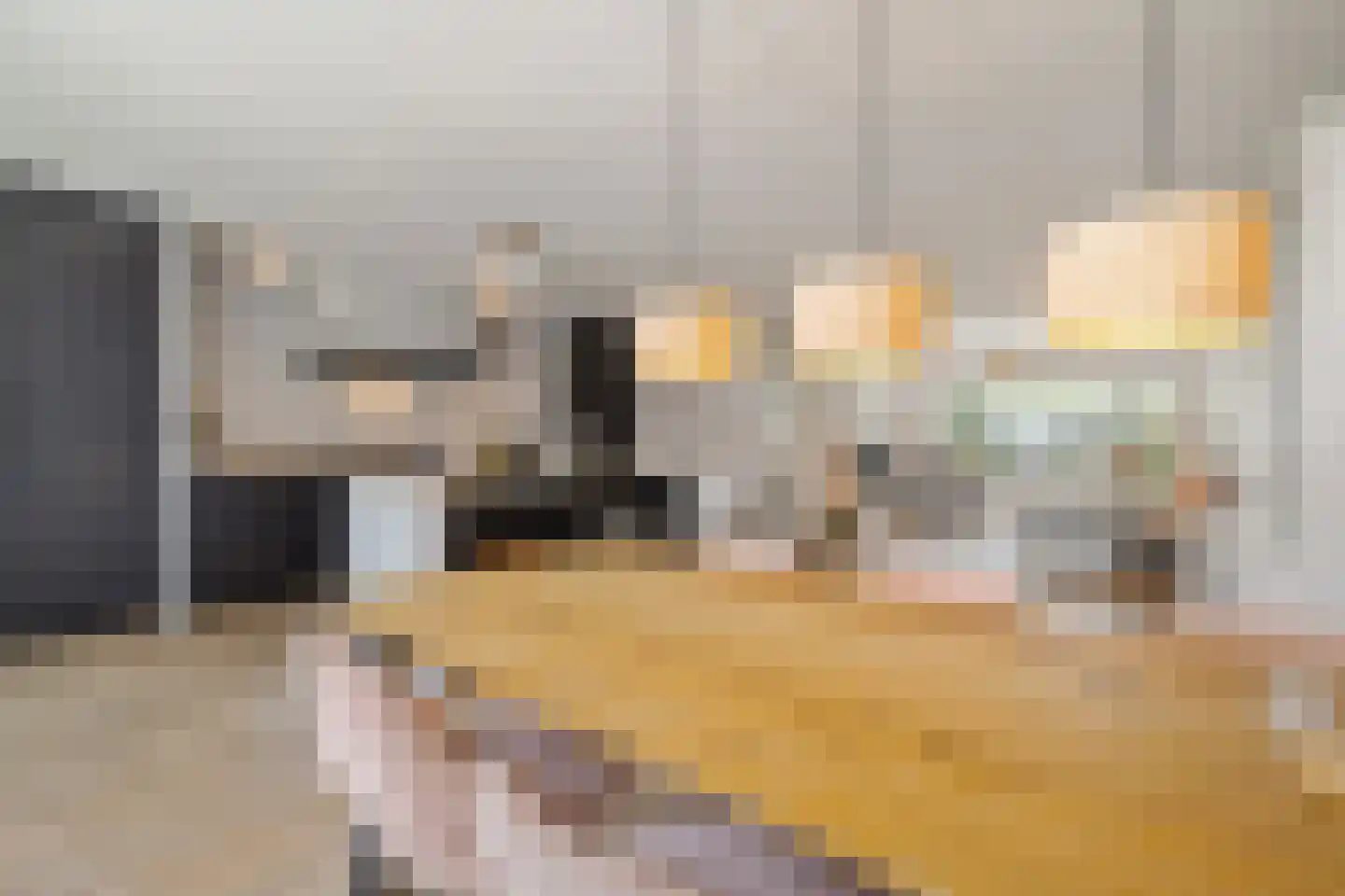 H. Kamerlingh Onnesweg 69 Bussum thumbnail 15