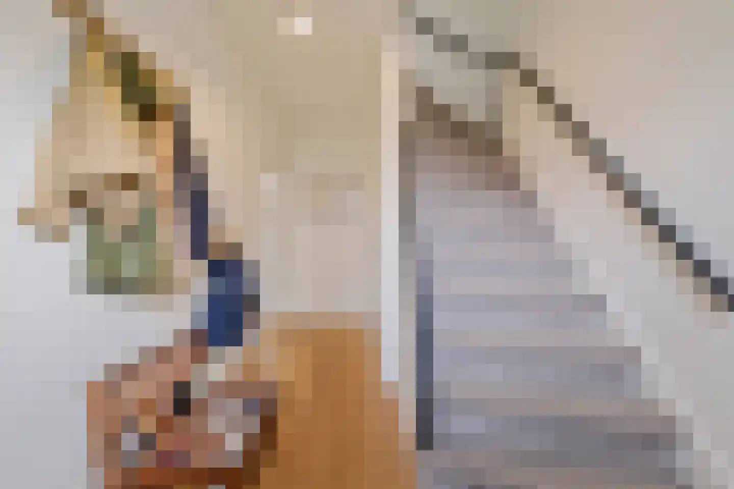 H. Kamerlingh Onnesweg 69 Bussum thumbnail 19