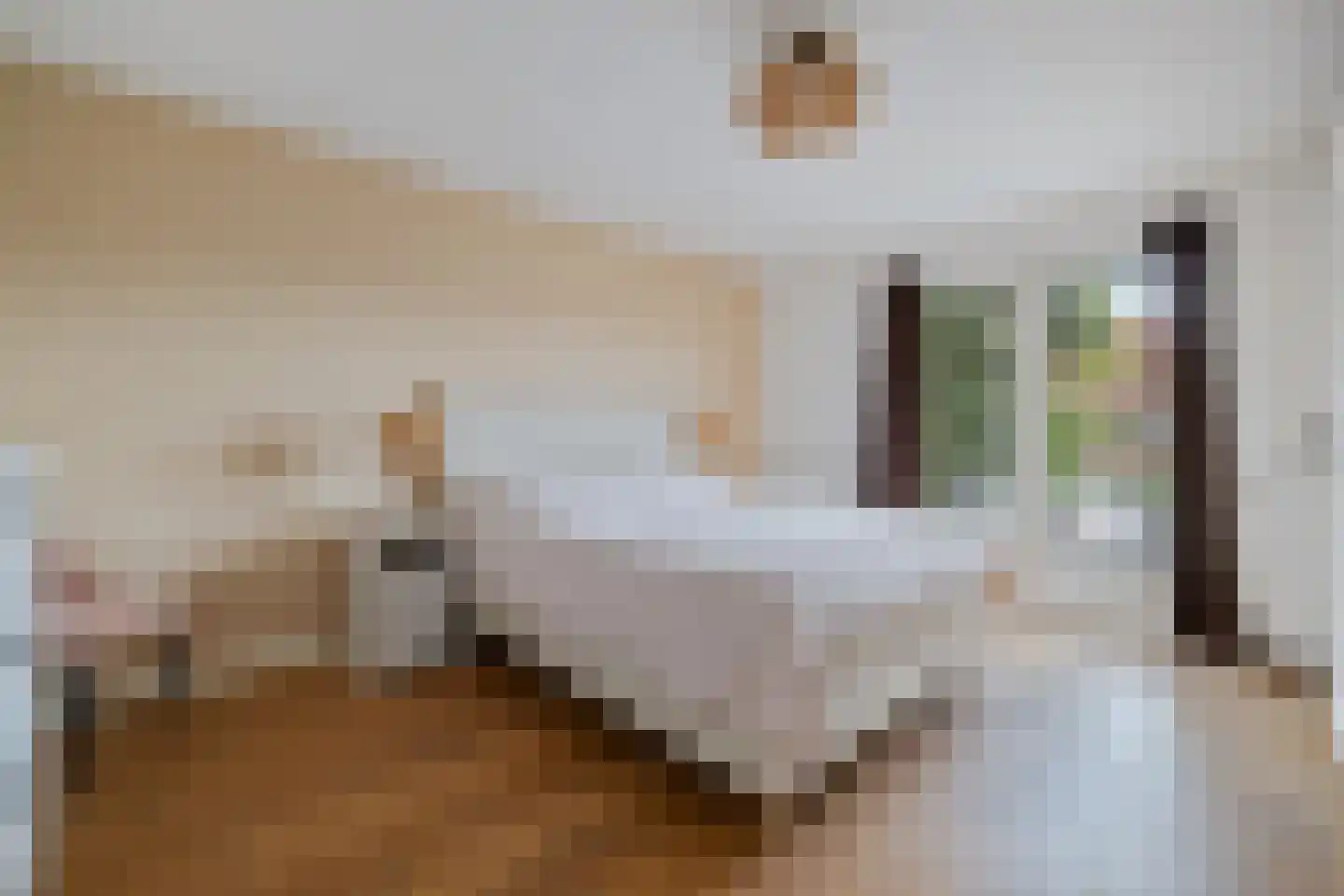 H. Kamerlingh Onnesweg 69 Bussum thumbnail 20
