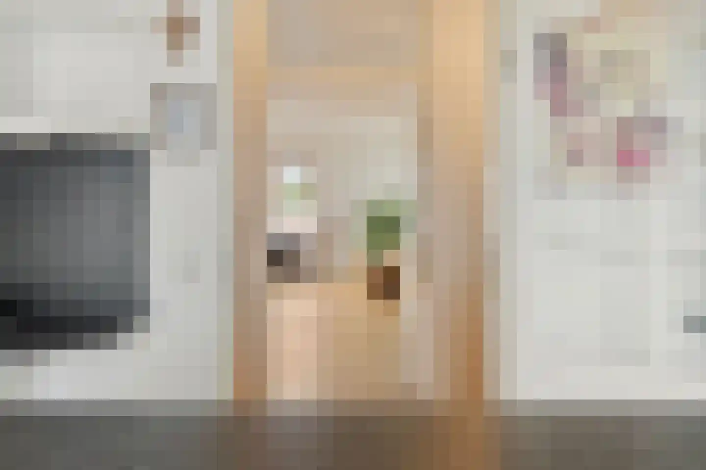 H. Kamerlingh Onnesweg 76 F Bussum thumbnail 17