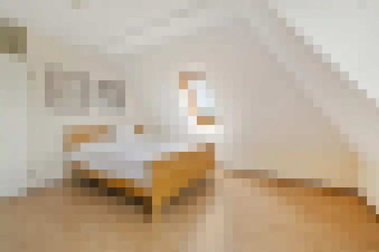 H. Kamerlingh Onnesweg 76 F Bussum thumbnail 22