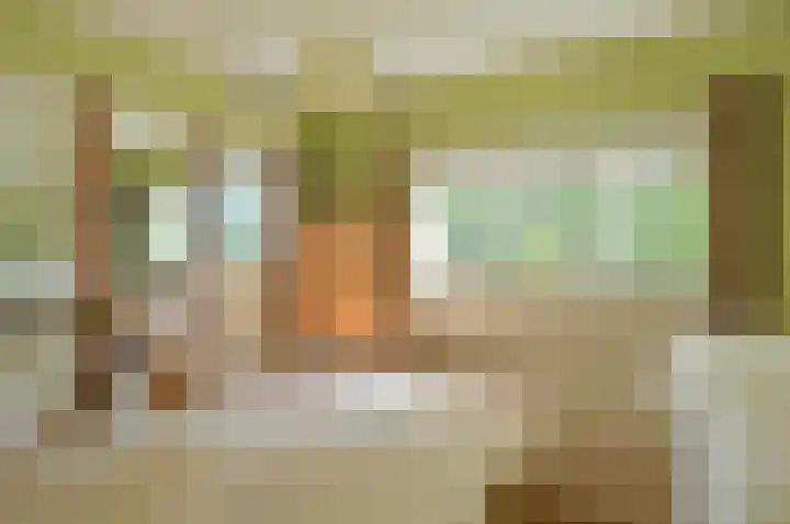 H. Kamerlingh Onnesweg 96 Bussum thumbnail 16