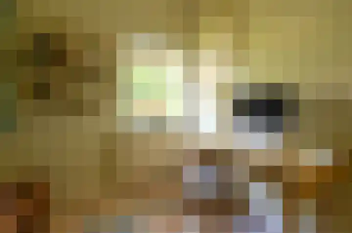 H. Kamerlingh Onnesweg 96 Bussum thumbnail 20