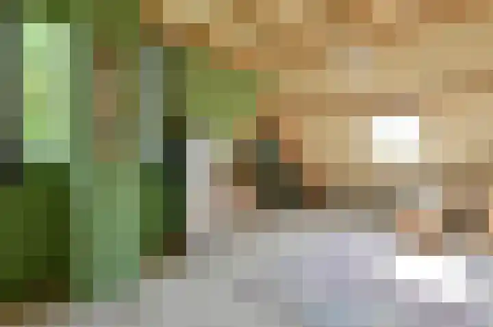 H. Kamerlingh Onnesweg 96 Bussum thumbnail 26