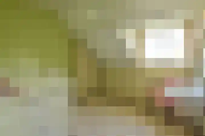 H. Kamerlingh Onnesweg 96 Bussum thumbnail 29
