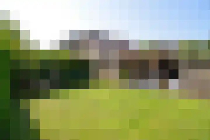 H. Kamerlingh Onnesweg 96 Bussum thumbnail 33