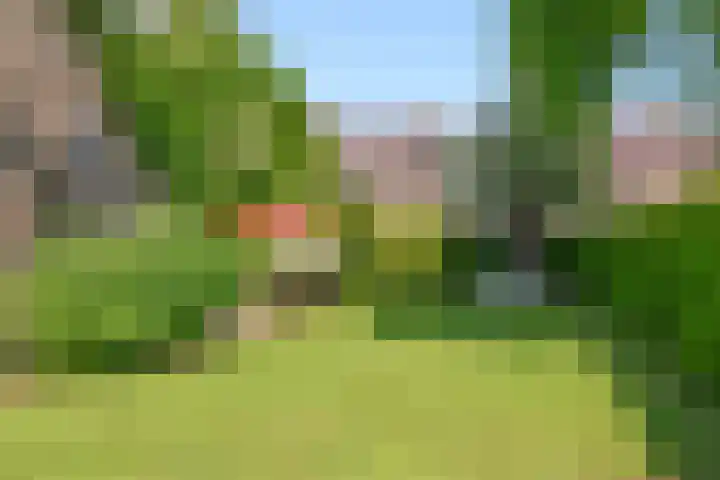 H. Kamerlingh Onnesweg 96 Bussum thumbnail 34