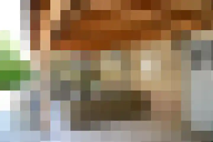 H. Kamerlingh Onnesweg 96 Bussum thumbnail 36