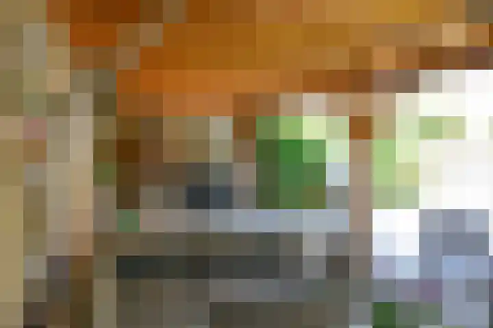 H. Kamerlingh Onnesweg 96 Bussum thumbnail 37