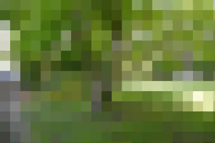 H. Kamerlingh Onnesweg 96 Bussum thumbnail 40