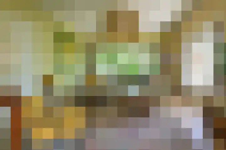 H. Kamerlingh Onnesweg 96 Bussum thumbnail 5