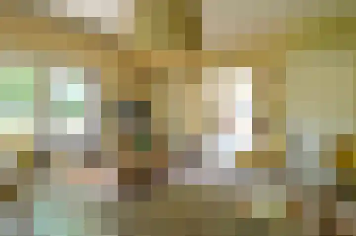H. Kamerlingh Onnesweg 96 Bussum thumbnail 6