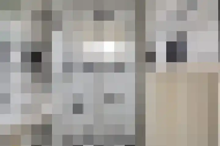 H Klaaszstraat 4 Rockanje thumbnail 18