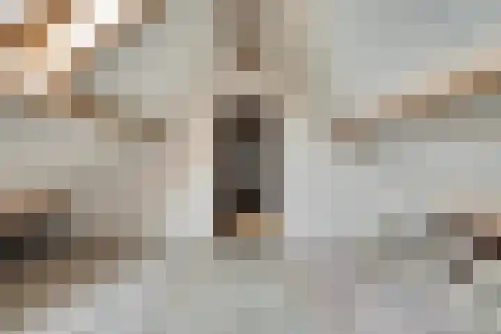 H Klaaszstraat 4 Rockanje thumbnail 22