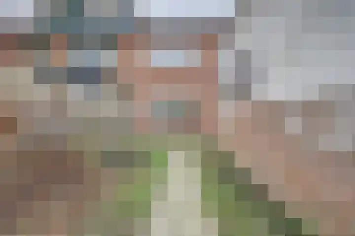 H Klaaszstraat 4 Rockanje thumbnail 24