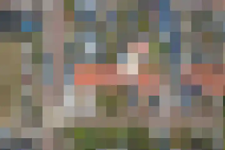 H Klaaszstraat 4 Rockanje thumbnail 36