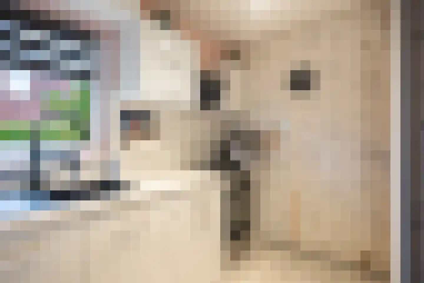 H. Koningstraat 13 Wehe-den Hoorn thumbnail 13