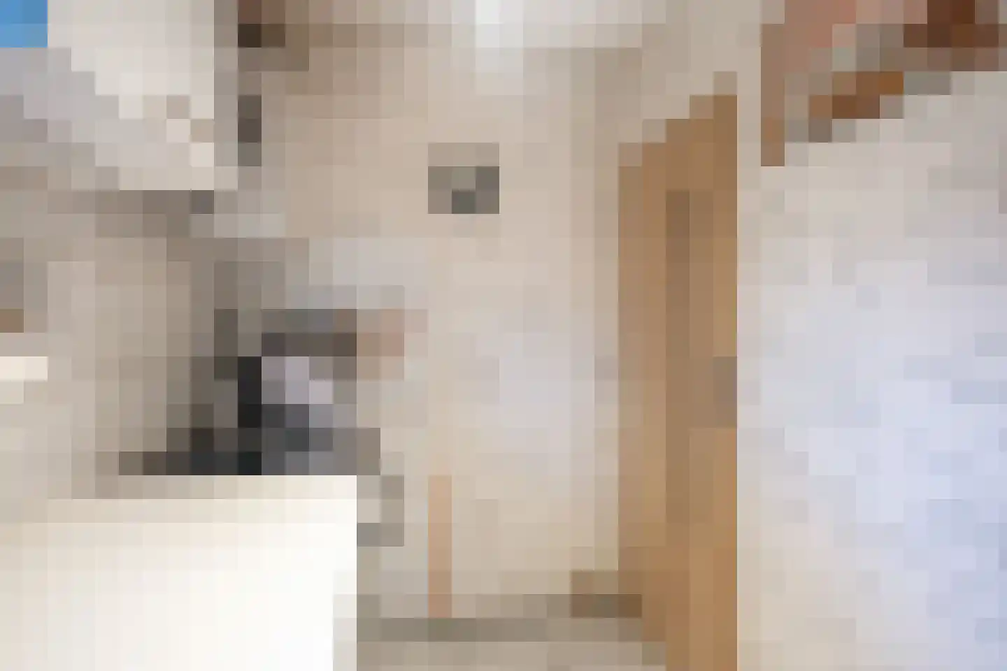 H. Koningstraat 13 Wehe-den Hoorn thumbnail 14